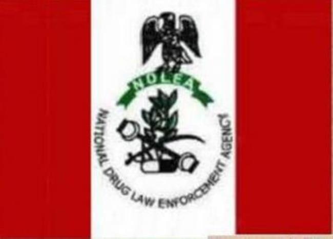 NDLEA Intercepts Truckload Of Illicit Drugs In Lagos State