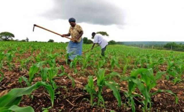 Farmers Advised To Form Co-operative Societies To Enable Them Receive From Govt