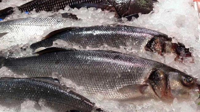 Seafood Import Drops By 12% on CBN Forex Policy