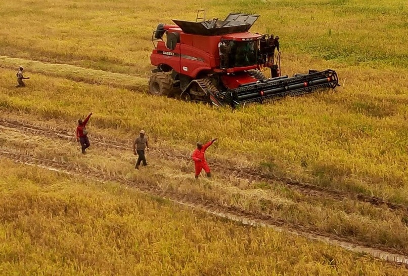 Rice And More Rice On The way In Anambra State