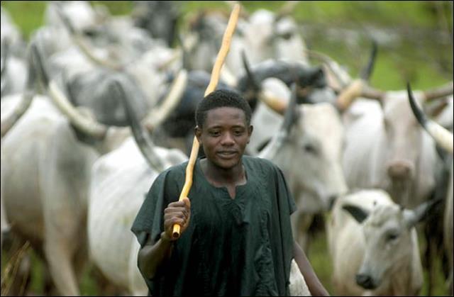 Anambra Lawmakers Decry Invasion Of Ayamelum  Communities By Fulani Herdsmen