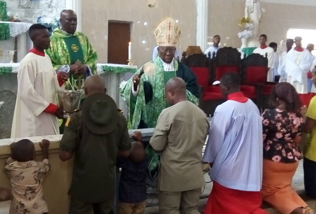 Cardinal Arinze Urges Nigerians To Join Hands To Develop Country