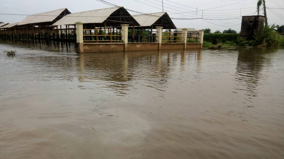 Flood: Prof Katchy Asks FG To Build Bigger Modern Dams