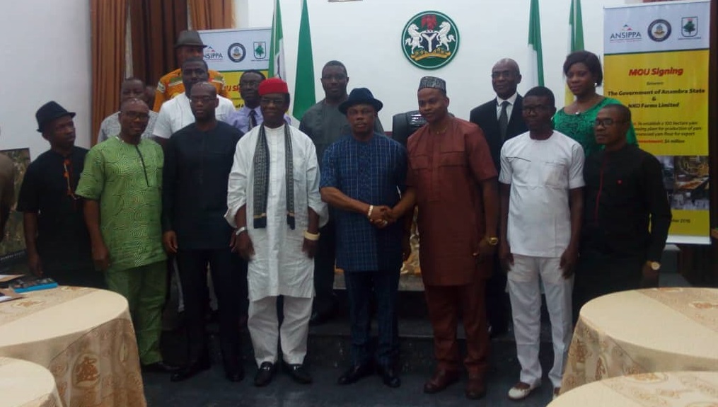 Anambra Govt Signs  N1.4Bn MOU With Nko Farms To Boost Yam Production And Processing