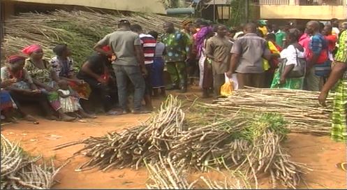 Anambra Govt Commences Distribution Of Farm Inputs To Farmers Affected By Flood