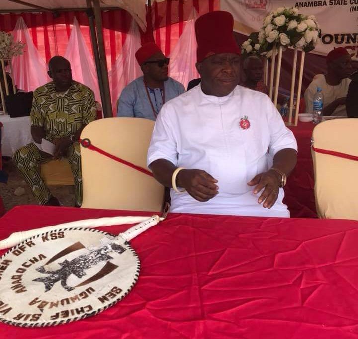 2019 Elections Will Be Difficult To Rig – Umeh