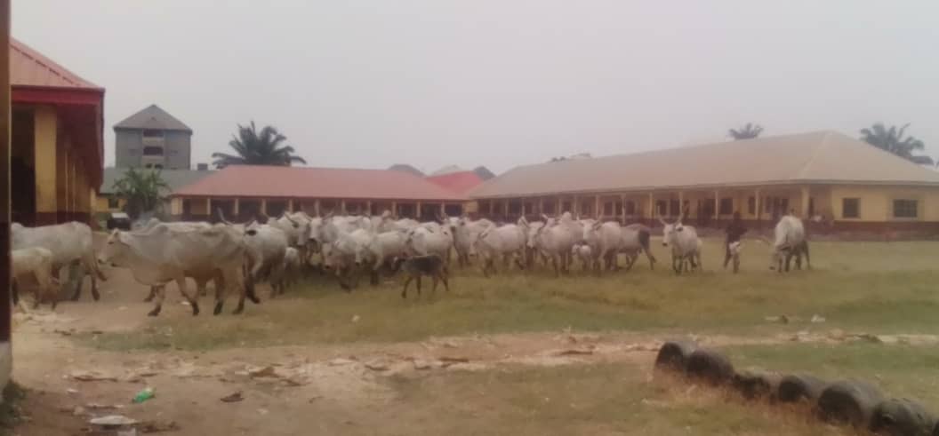 Ideke Sec. School Iyiowa Odekpe Sends SOS  To Anambra Govt Over Encroachment By Herdsmen