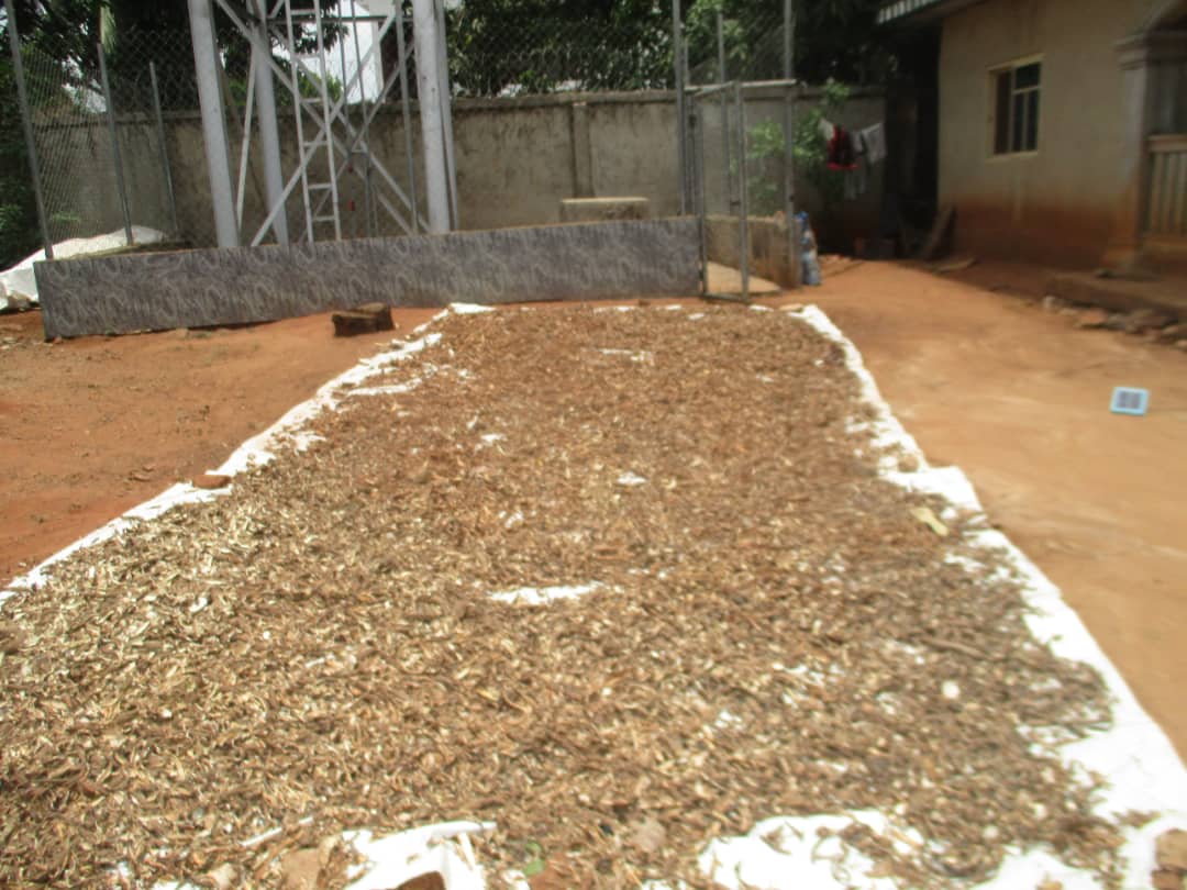 FG, IFAD/VCDP Commence Conversion of Agricultural Waste To Wealth In Anambra