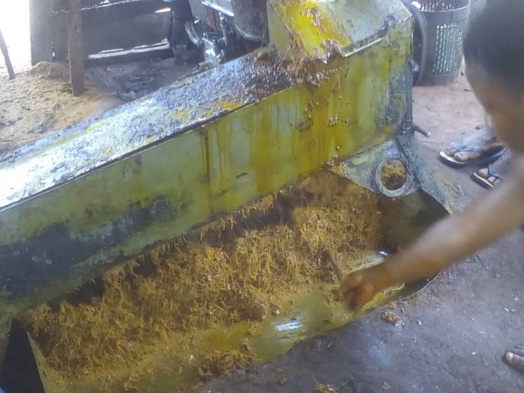 Palm Oil: New Processing Machine Invented At Umuoji