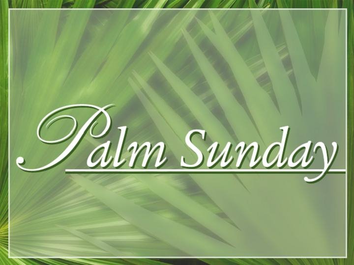 Commentary: Significance Of Palm Sunday