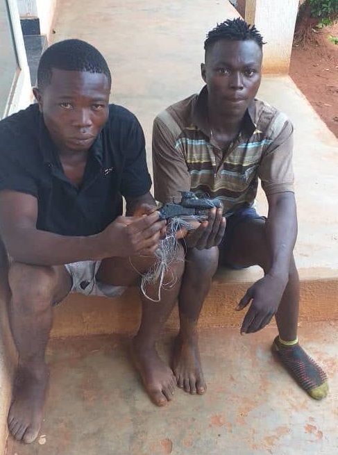 Operation Puff Adder: Police Nab Two Suspects At Upper Iweka For Bag Snatching