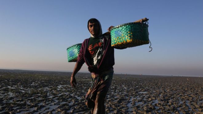 Bangladesh Bans Fishing Off Its Coast