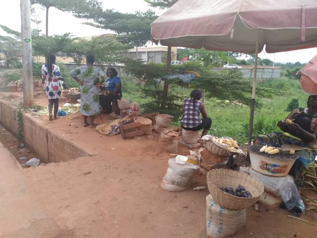 Roasted Corn Business Builds Up In Awka And  Environs