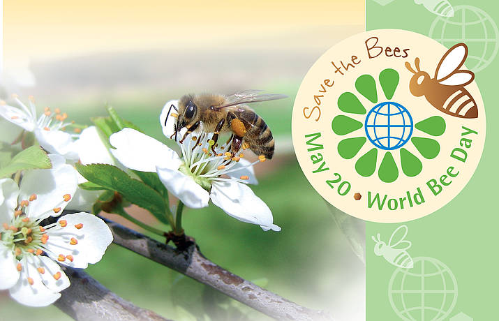 Today is World Bee Day