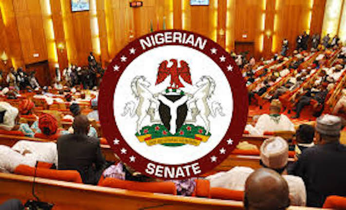 Senate To Vote On Report Of Constitution Review Committee Next Week