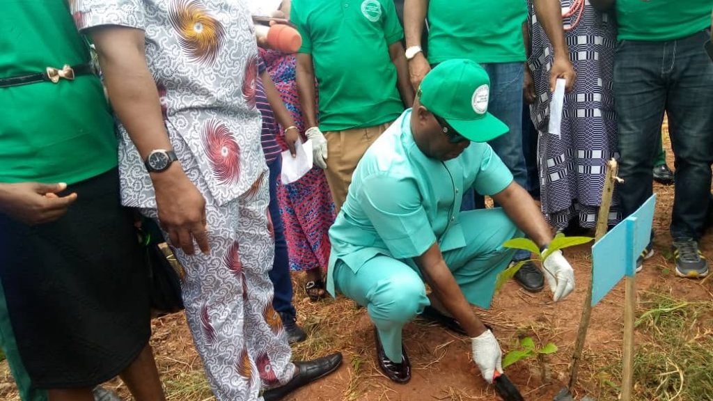 2019 Tree Planting Campaign : Anambra Govt Targets 3 Million Trees