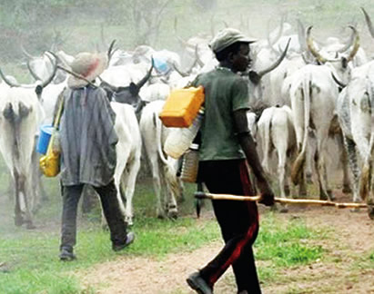 FG  Debunks APPG Report On Herdsmen – Farmers Conflict In Nigeria