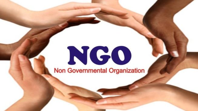 Commentary: The Role Of NGOs In Peace Building  In Nigeria