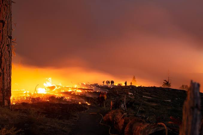 Wildfires Threatens Power Blackout In California