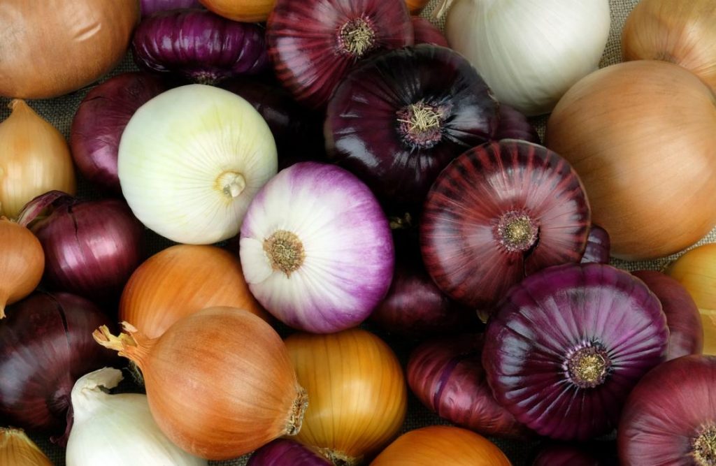 Nigeria Imports 1.1Million Tonnes Of Onions Annually