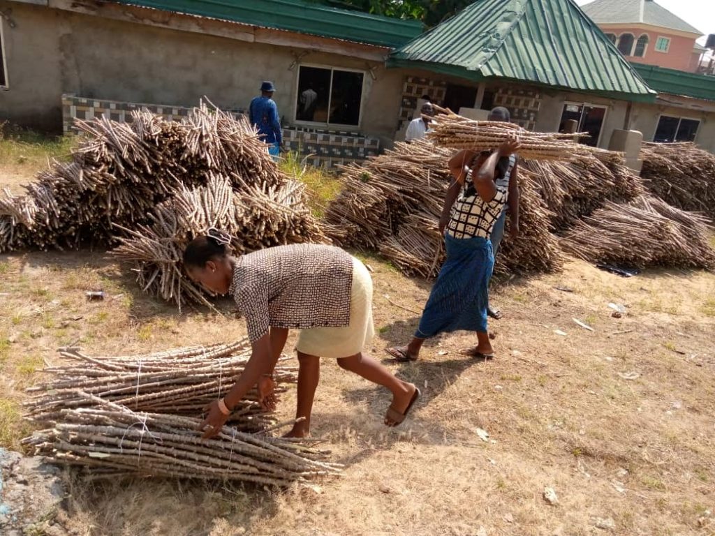 Anambra State Govt Commences Distribution Of Farm Input To Farmers  For  Dry Season Farming