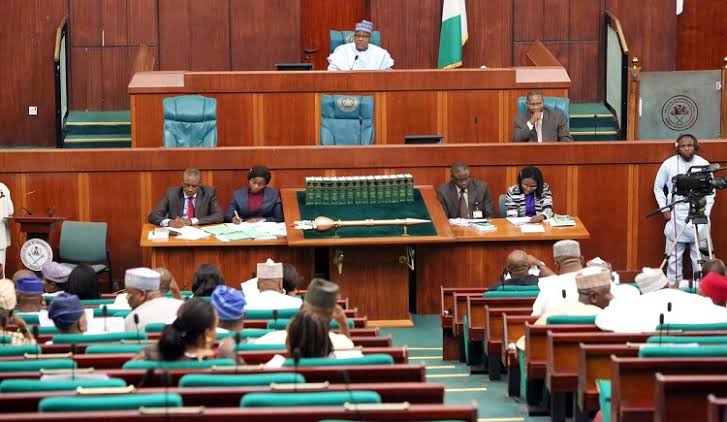 Reps To Establish Development Commission For 3 Geopolitical Zones