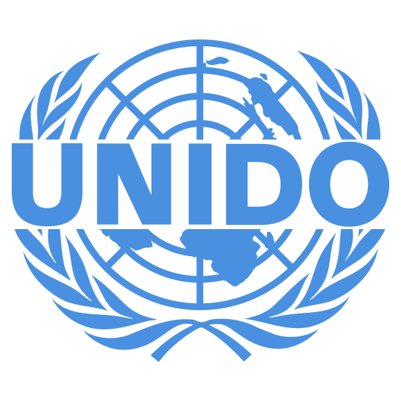 UNIDO Lauds Anambra Govt For Building Capacity Of Teachers