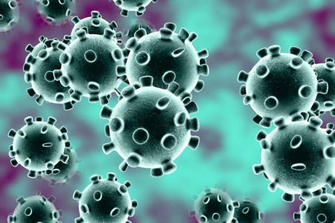 Coronavirus Scare  : Awka  Residents Lament Impact