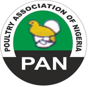 Poultry Association Of Nigeria Warns Of Impending Starvation