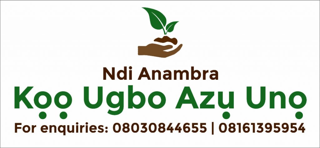 Ugbo Azu Uno: Farmers Commend Anambra Govt,  Lament High Cost Of Labour