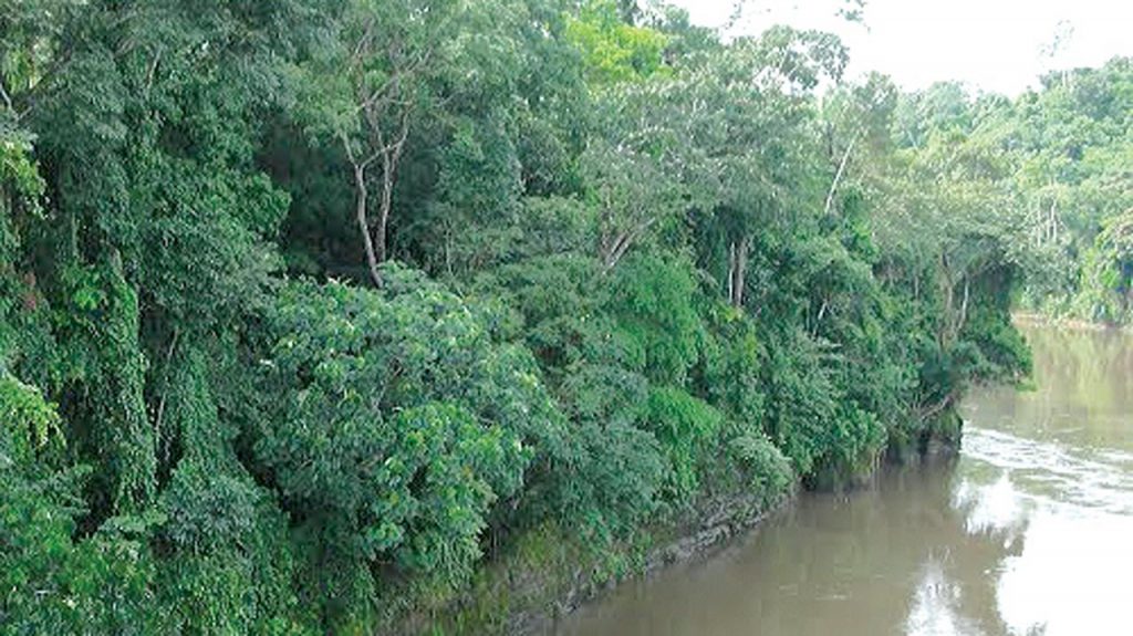 Stakeholders Call For Protection Of Mangrove Ecosystem