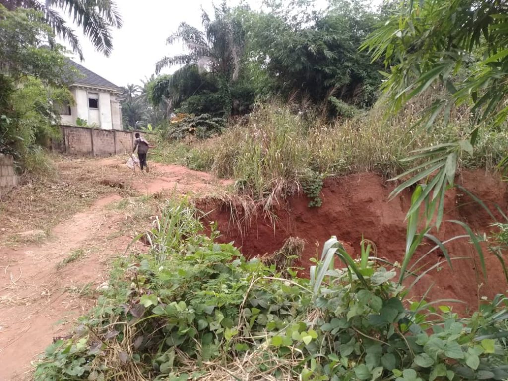 Snake Swallows Boy At Enu-Avomimi Village Enugwu-Ukwu, Njikoka Council Area, Community  Cries Out To Govt Over Erosion Menace