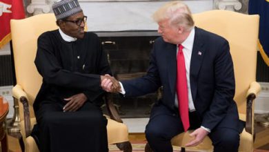 FG Meets US On Visa Ban