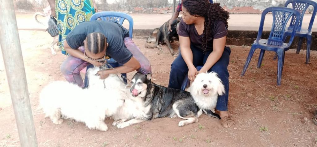 2021 Free Anti Rabies Vaccination Campaign Flagged Off In Anambra State