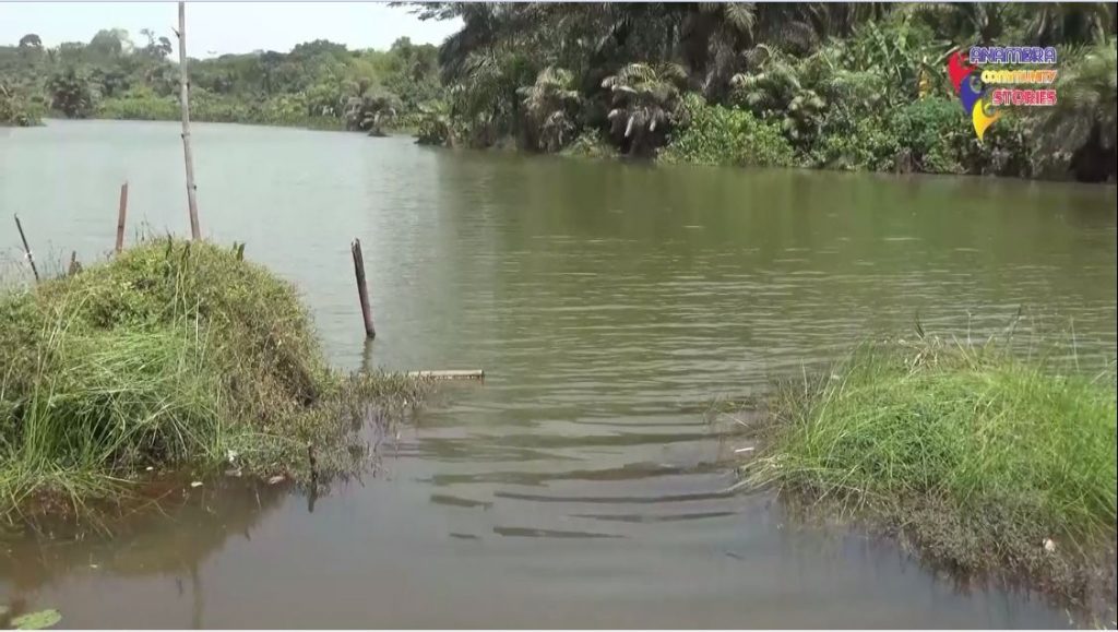 Tourism Potential Of Mmiri Riri Oji In Abatete, Idemili North Council Area