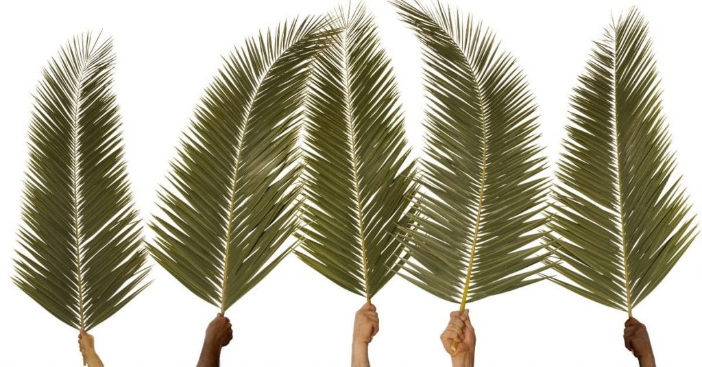 Commentary: The Significance Of Palm Sunday