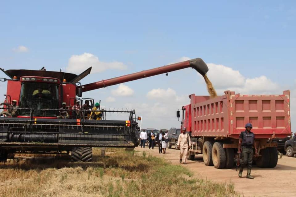 Commentary – The Revolution In Agriculture In Anambra State