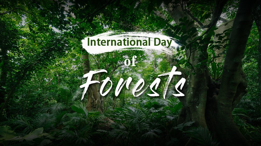 Today Is International Day of Forest Heartbeat Of The East