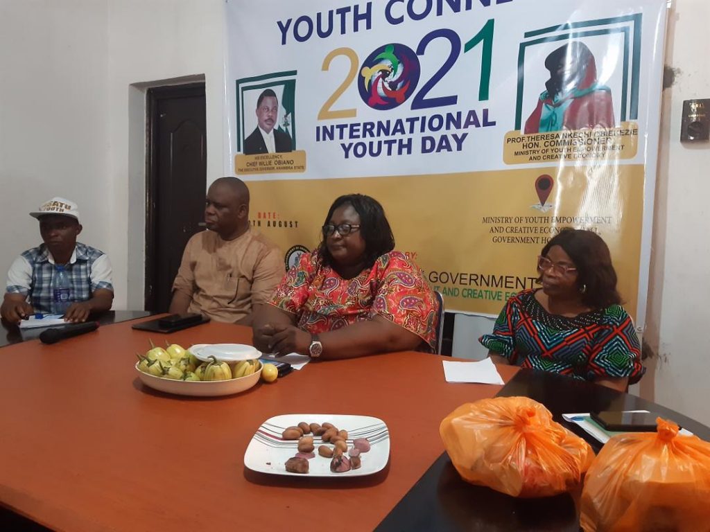 International Youth Day: Anambra Youth Leaders Brain Storm On Youth Development In Awka