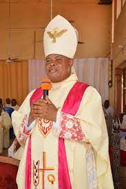 Pope Appoints Bishop Jonas Benson Okoye As New Bishop Of Nnewi Catholic Diocese