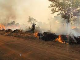 Commentary: Avoiding Harmattan Fire This Season