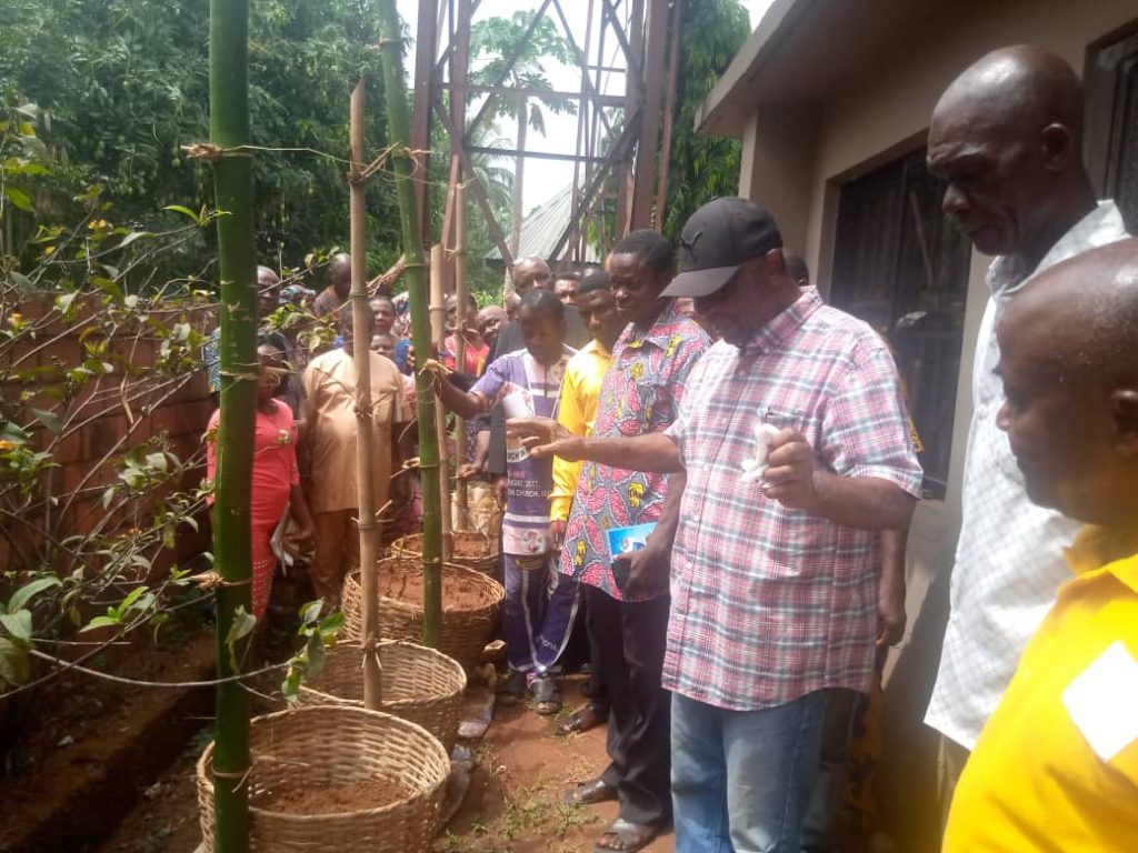 50 Persons Trained In Cultivation Of Yam In Bags In Igbo ụkwụ Aguata Council Area