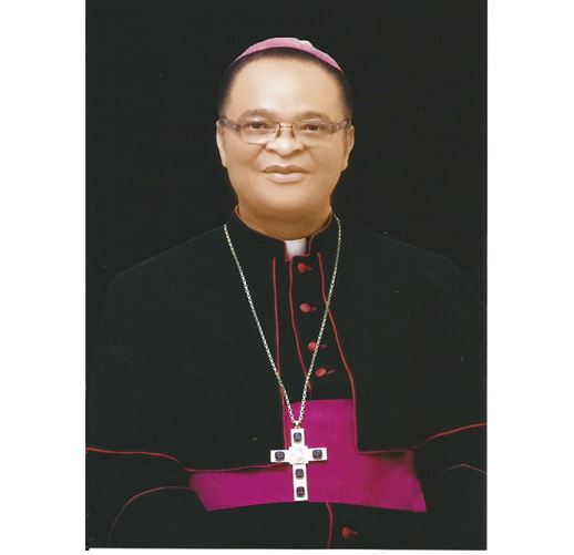 Newly Appointed Archbishop Of Owerri Most Reverend Ugorji Emerges New President Catholic Bishops Conference Of Nigeria