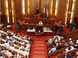 Senate Allows Statutory Delegates To Participate In Political Parties’ Congresses In Amended Electoral Act