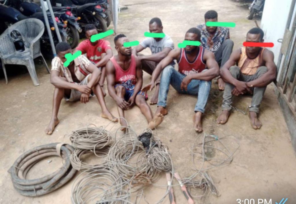 Seven Suspects Nabbed By NSCDC For Vandalizing Electrical Installations In Anambra