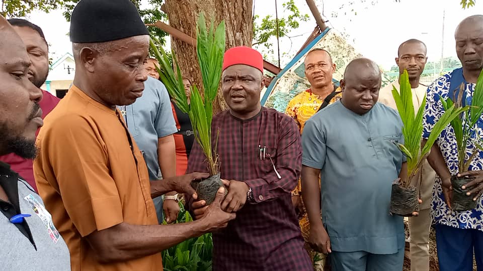 Orumba South LG Council Commences Distribution Of State Govt Palm Seedlings