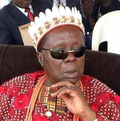 Awka Monarch, Obi Nwosu Lauds Creation Of Peter Cardinal Okpalaeke