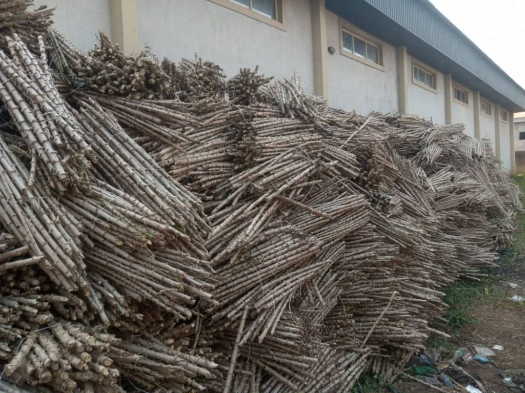 NGO Whitefield Foundation Donates Relief Materials, Farm Seedlings To People Affected By Flooding In Anambra