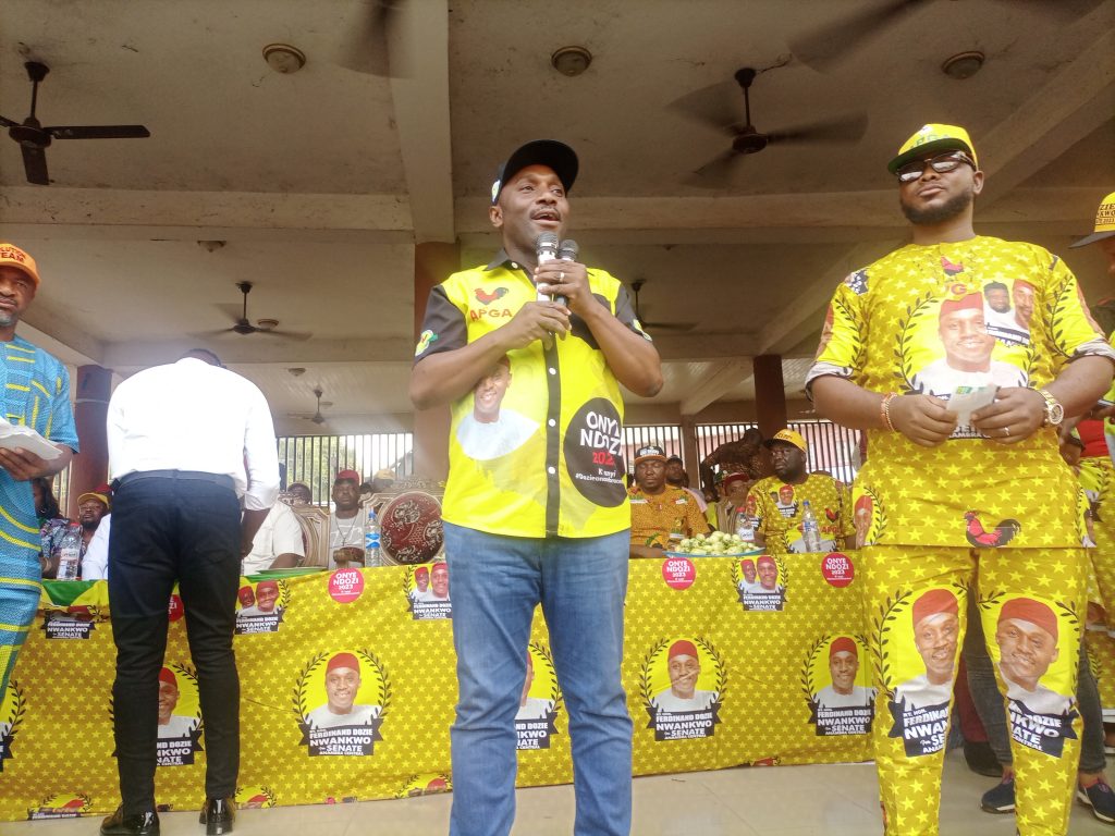 2023 : Enugwu-Ukwu Royal Cabinet Backs APGA Senatorial Candidate For Anambra Central Nwankwo