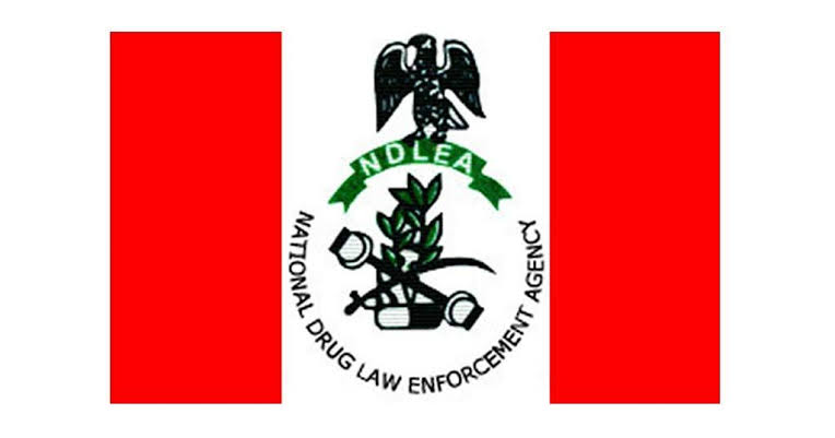 Anambra Education Ministry Collaborates  With NDLEA In Fight Against Drug Abuse